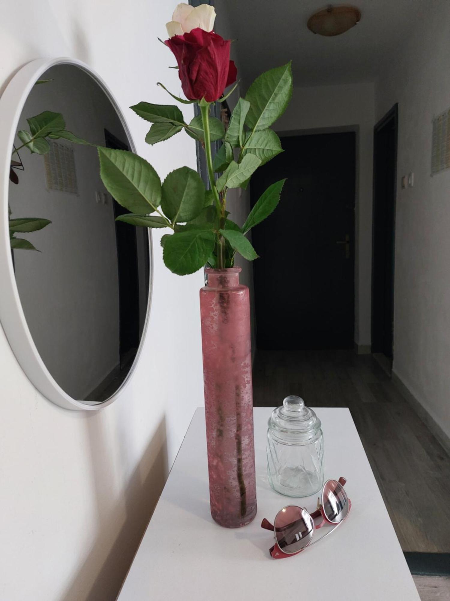 Apartment "None" ماكارسكا المظهر الخارجي الصورة